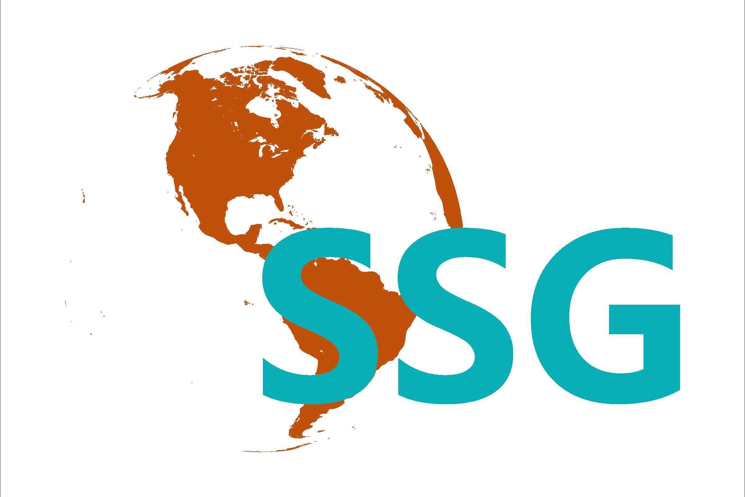 Special Services Group, LLC logo