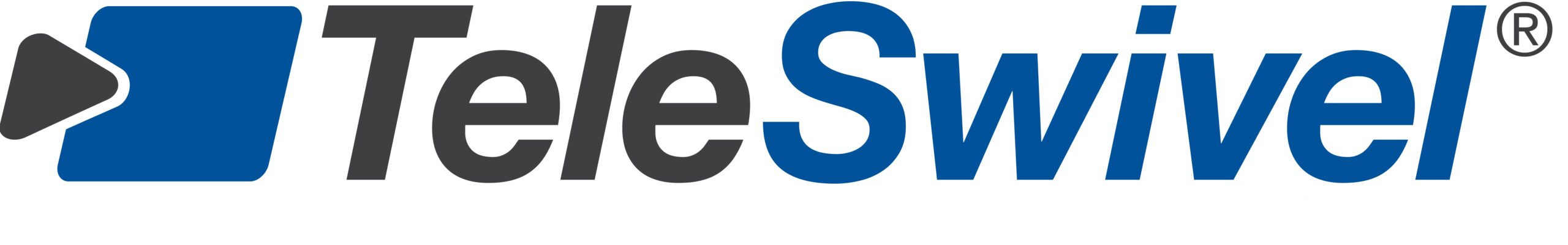 TeleSwivel LLC logo