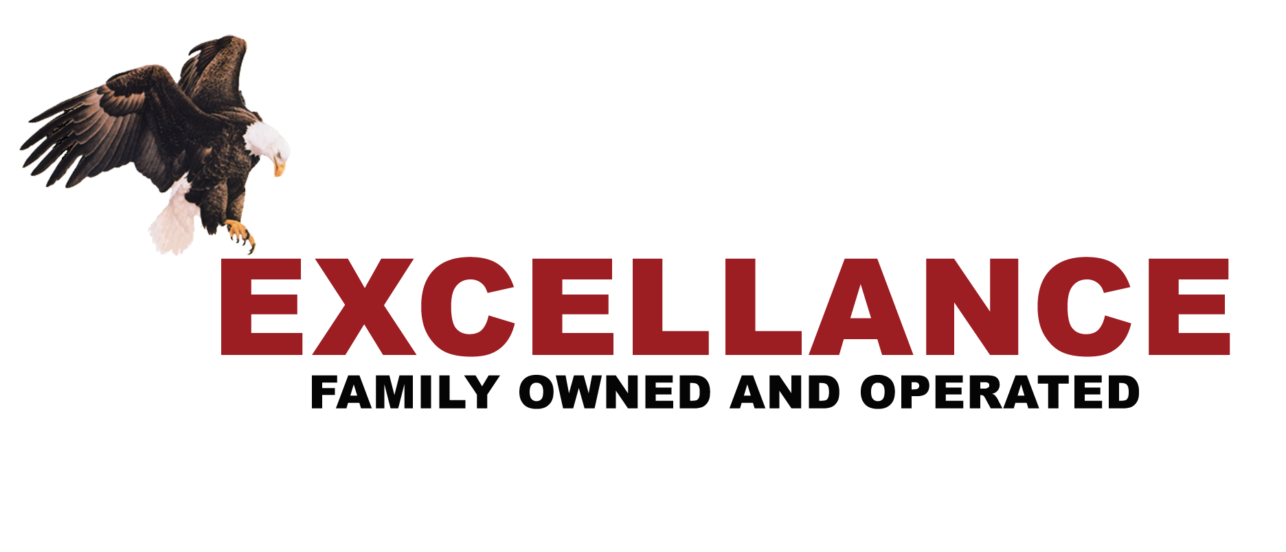 Excellance, Inc. logo
