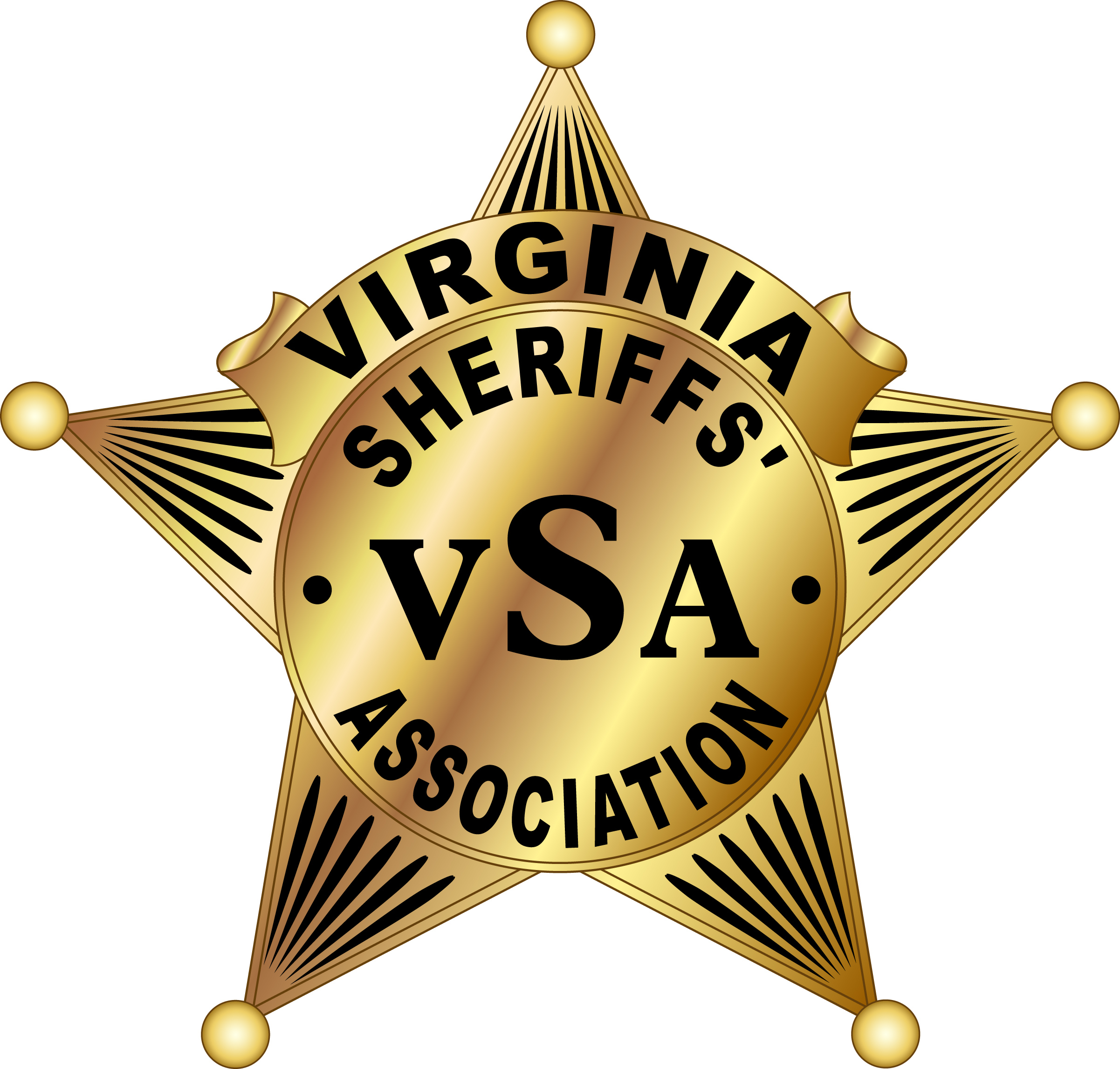 VSA Logo (2)